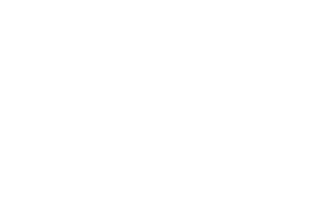SENNHEISER