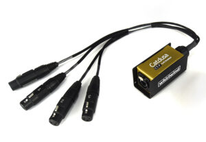 Whirlwind CT-F Ethercon to 4 F
