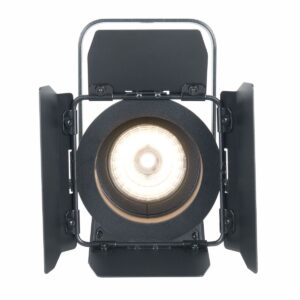 ADJ Encore FR20 DTW Fresnel