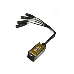 Whirlwind CT-M Ethercon to 4